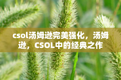 csol汤姆逊完美强化，汤姆逊，CSOL中的经典之作