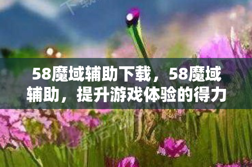 58魔域辅助下载，58魔域辅助，提升游戏体验的得力助手