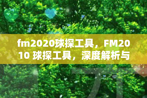 fm2020球探工具，FM2010 球探工具，深度解析与实战应用