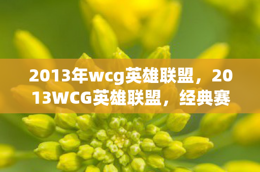 2013年wcg英雄联盟，2013WCG英雄联盟，经典赛事的荣耀与传承