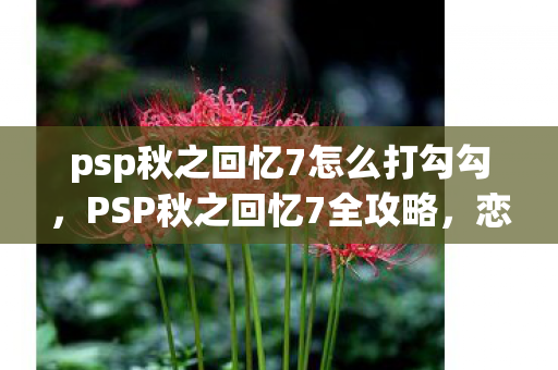 psp秋之回忆7怎么打勾勾，PSP秋之回忆7全攻略，恋爱与回忆的交织