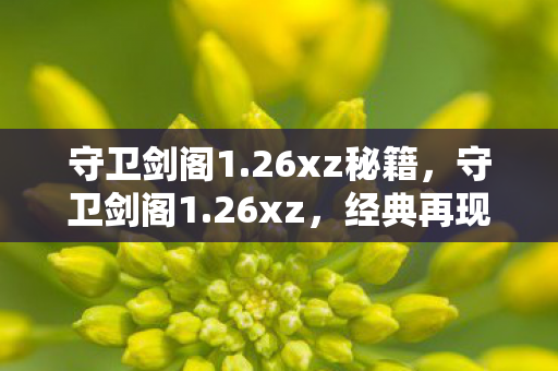 守卫剑阁1.26xz秘籍，守卫剑阁1.26xz，经典再现，策略与激情的碰撞