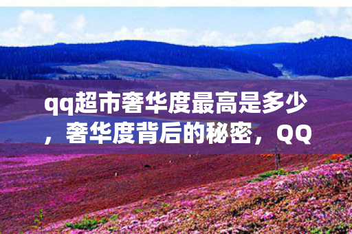 qq超市奢华度最高是多少，奢华度背后的秘密，QQ超市的低调奢华