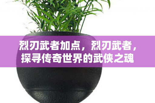 烈刃武者加点，烈刃武者，探寻传奇世界的武侠之魂