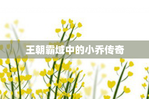 王朝霸域中的小乔传奇