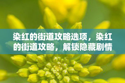 染红的街道攻略选项，染红的街道攻略，解锁隐藏剧情与角色互动