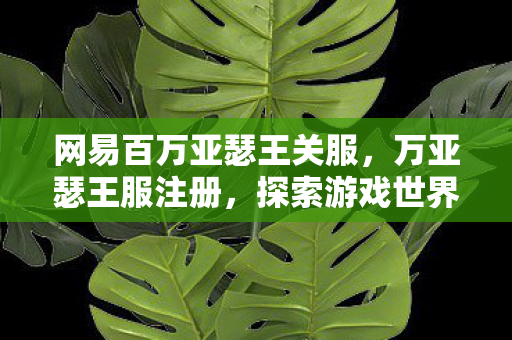 网易百万亚瑟王关服，万亚瑟王服注册，探索游戏世界的无限可能