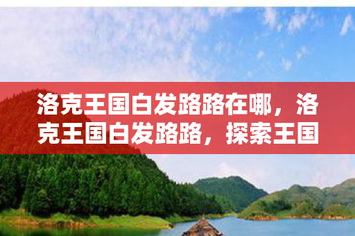 洛克王国白发路路在哪，洛克王国白发路路，探索王国中的神秘旅者