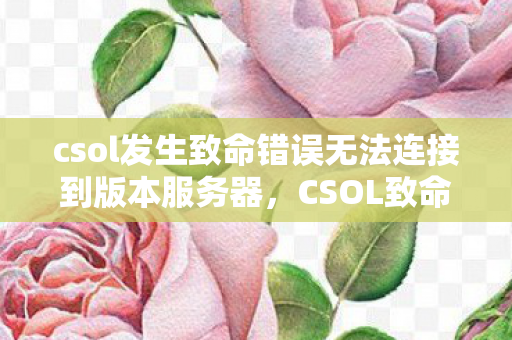 csol发生致命错误无法连接到版本服务器，CSOL致命错误，游戏稳定性与玩家体验的挑战