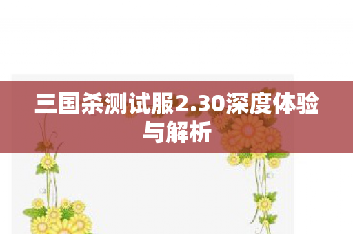 三国杀测试服2.30深度体验与解析 三国杀测试服2.30深度体验与解析