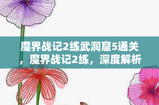 魔界战记2练武洞窟5通关，魔界战记2练，深度解析角色成长与战术策略