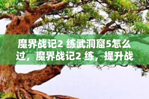 魔界战记2 练武洞窟5怎么过，魔界战记2 练，提升战斗力的实战技巧