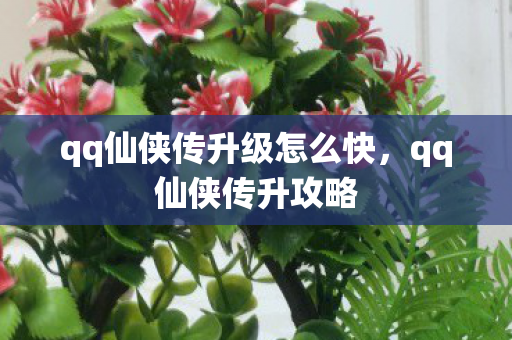 qq仙侠传升级怎么快，qq仙侠传升攻略