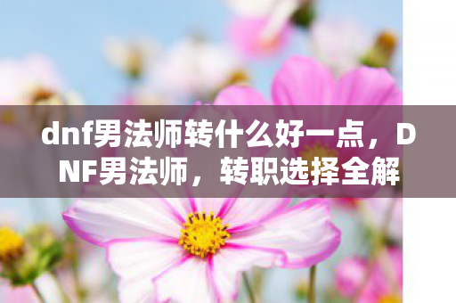 dnf男法师转什么好一点，DNF男法师，转职选择全解析