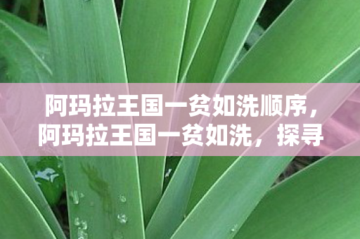 阿玛拉王国一贫如洗顺序，阿玛拉王国一贫如洗，探寻游戏经济崩溃的深层原因
