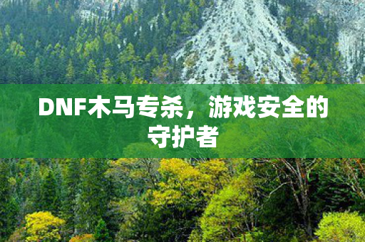 DNF木马专杀,游戏安全的守护者 DNF木马专杀,游戏安全的守护者