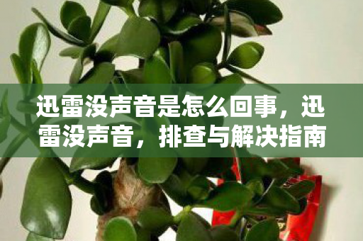 迅雷没声音是怎么回事，迅雷没声音，排查与解决指南