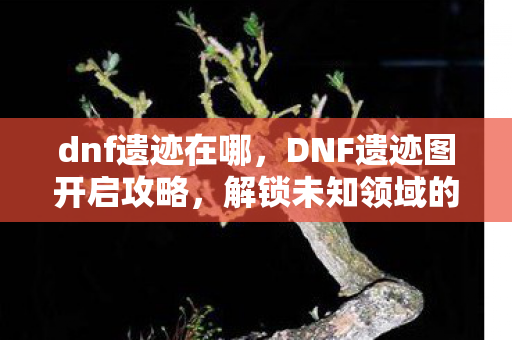 dnf遗迹在哪，DNF遗迹图开启攻略，解锁未知领域的神秘宝藏