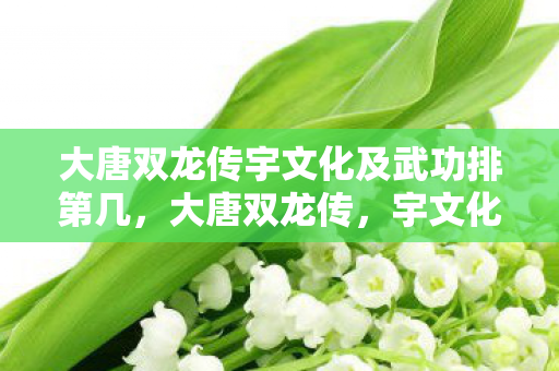 大唐双龙传宇文化及武功排第几，大唐双龙传，宇文化及的权谋与悲剧