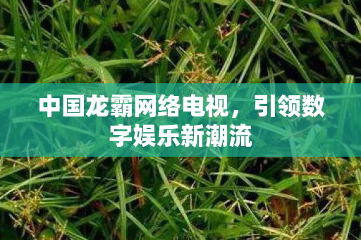 中国龙霸网络电视，引领数字娱乐新潮流