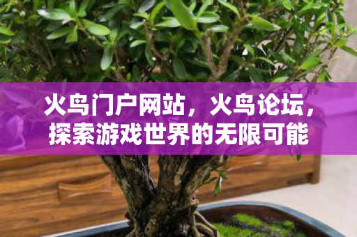 火鸟门户网站，火鸟论坛，探索游戏世界的无限可能