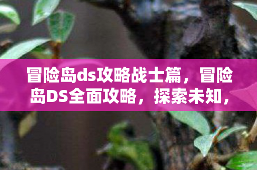 冒险岛ds攻略战士篇，冒险岛DS全面攻略，探索未知，挑战极限