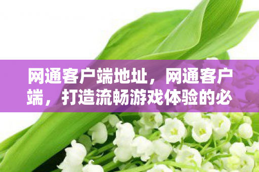 网通客户端地址，网通客户端，打造流畅游戏体验的必备利器