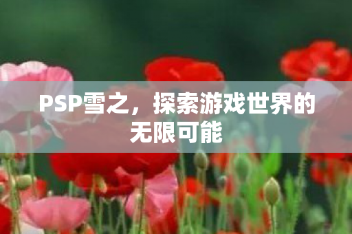 PSP雪之，探索游戏世界的无限可能