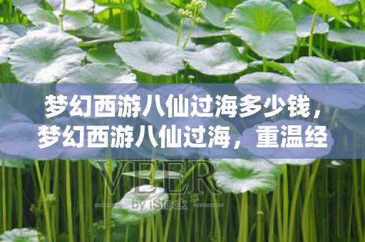 梦幻西游八仙过海多少钱，梦幻西游八仙过海，重温经典，探索未知