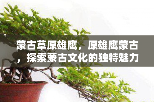 蒙古草原雄鹰，原雄鹰蒙古，探索蒙古文化的独特魅力