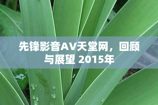 先锋影音AV天堂网，回顾与展望 2015年