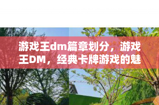 游戏王dm篇章划分，游戏王DM，经典卡牌游戏的魅力与策略