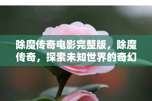 除魔传奇电影完整版，除魔传奇，探索未知世界的奇幻之旅