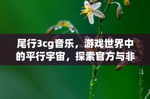 尾行3cg音乐，游戏世界中的平行宇宙，探索官方与非官方服务器的差异与共存