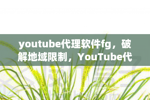 youtube代理软件fg，破解地域限制，YouTube代理软件全解析