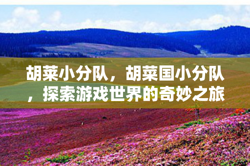 胡莱小分队，胡菜国小分队，探索游戏世界的奇妙之旅