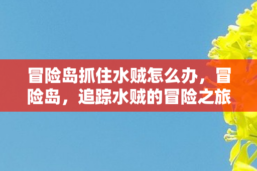 冒险岛抓住水贼怎么办，冒险岛，追踪水贼的冒险之旅