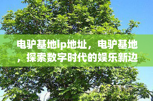 电驴基地ip地址，电驴基地，探索数字时代的娱乐新边疆