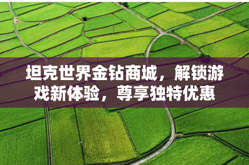 坦克世界金钻商城，解锁游戏新体验，尊享独特优惠