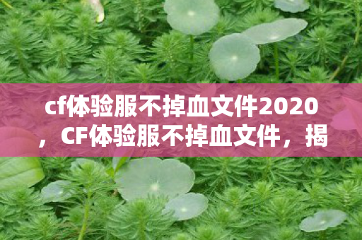 cf体验服不掉血文件2020，CF体验服不掉血文件，揭秘游戏测试中的神秘现象