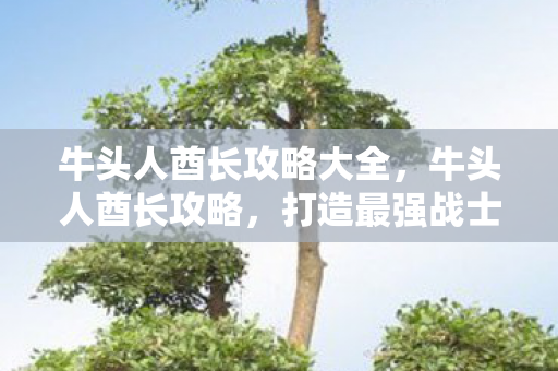 牛头人酋长攻略大全，牛头人酋长攻略，打造最强战士的实战指南