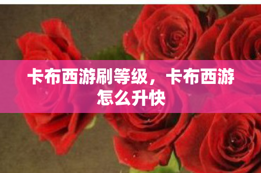 卡布西游刷等级，卡布西游怎么升快