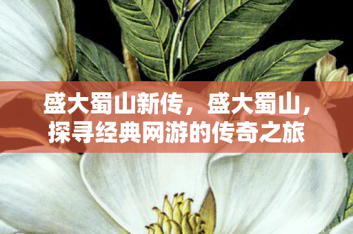 盛大蜀山新传，盛大蜀山，探寻经典网游的传奇之旅