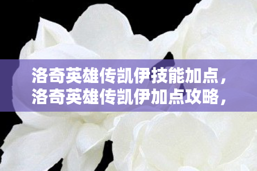 洛奇英雄传凯伊技能加点，洛奇英雄传凯伊加点攻略，打造最强输出角色