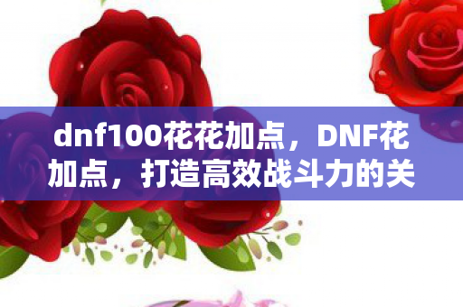 dnf100花花加点，DNF花加点，打造高效战斗力的关键