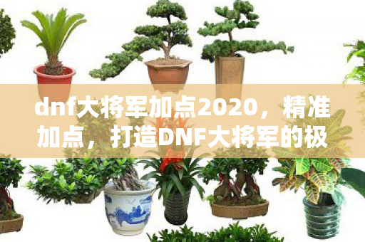 dnf大将军加点2020，精准加点，打造DNF大将军的极致战斗力