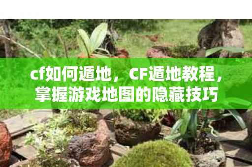 cf如何遁地，CF遁地教程，掌握游戏地图的隐藏技巧