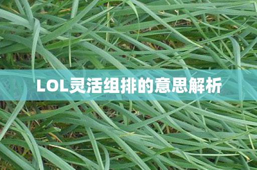 LOL灵活组排的意思解析