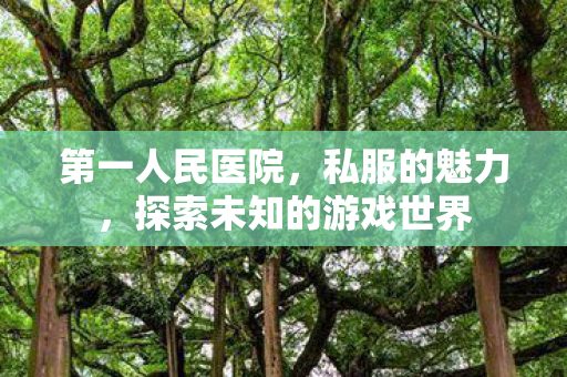 第一人民医院，私服的魅力，探索未知的游戏世界