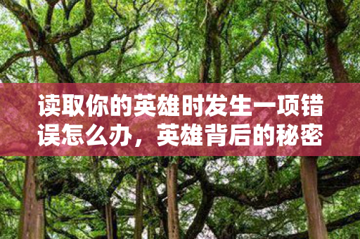 读取你的英雄时发生一项错误怎么办，英雄背后的秘密，探索游戏世界的奇妙之旅